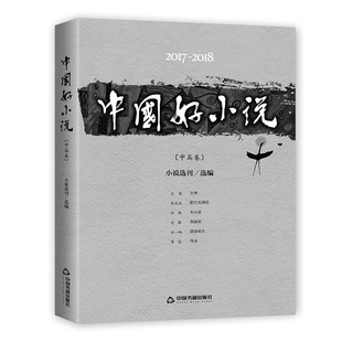 【中国书籍出版社】2017-2018中国好小说 中篇卷 小说叙事文学素材品读经典作品诗歌诗词格律诗作畅销书名著入门中小学生课外读物