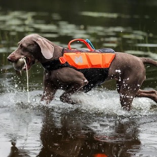 NON LIFE STOP PROTECTOR JACKET宠物狗救生衣专业 dogwear 代购