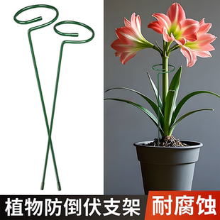 德国植物固定防倒伏花架子园艺支撑室外花园月季爬藤绣球撑花支架