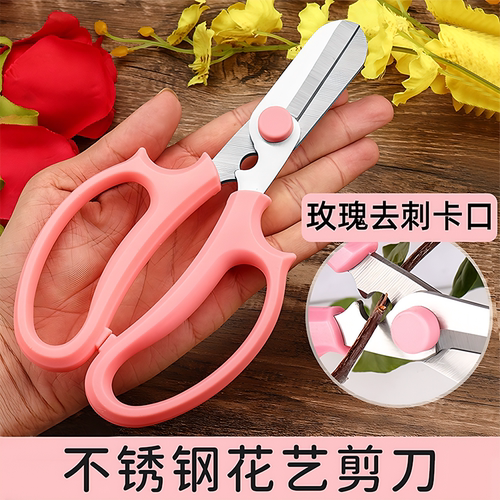 【德国进口】鲜花修插花花店专用