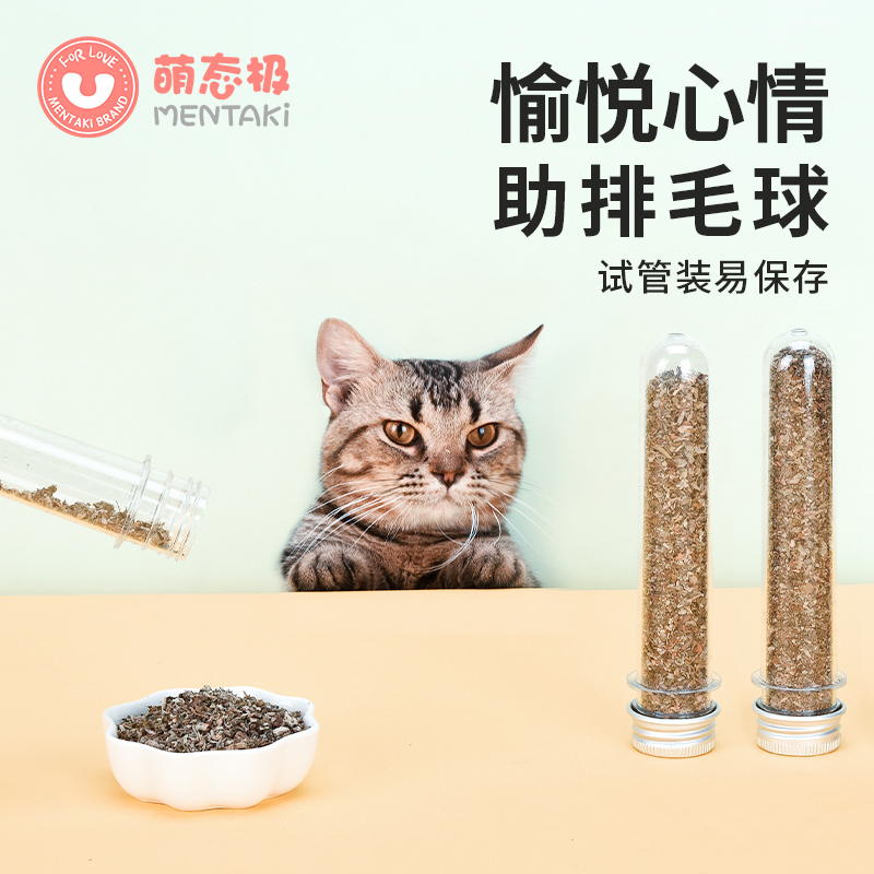 猫咪猫薄荷猫草愉悦心情猫咪兴奋