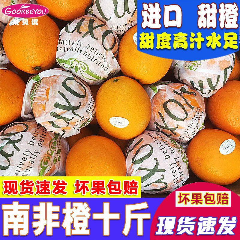 【进口橙子】南非橙埃及夏橙新鲜水果榨汁饮品店橙汁水果现货包邮在类目 水产肉类/新鲜蔬果/熟食, 新鲜水果, 橙中 - 来自Buy2taobao.com提供专业的淘宝代购服务