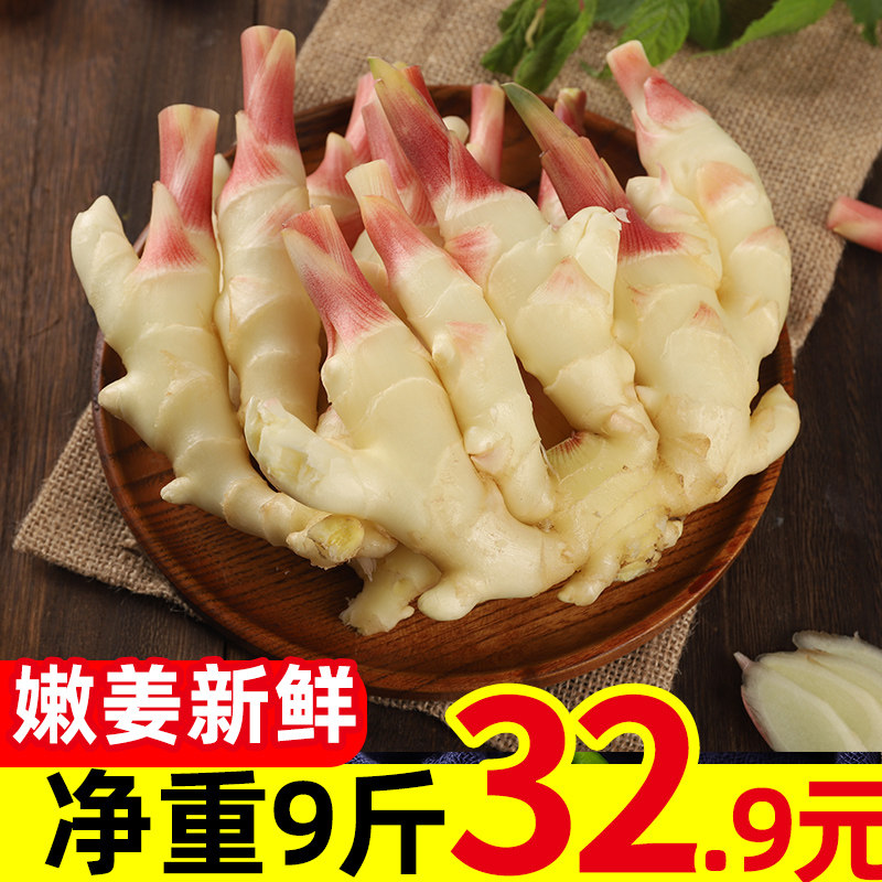 嫩姜新鲜生姜仔姜子姜鲜姜腌制仔姜芽10斤装红芽黄姜大姜新姜包邮在类目 水产肉类/新鲜蔬果/熟食, 新鲜蔬菜/蔬菜制品, 生姜中 - 来自Buy2taobao.com提供专业的淘宝代购服务