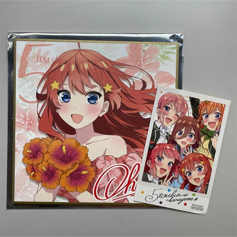 中野五月星形发夹色纸五等分的新娘鲜花洋装周边特典现货限定全新