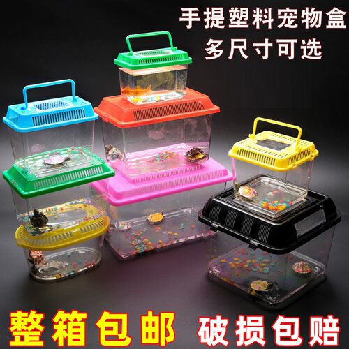 塑料透明斗鱼斗鱼杯乌龟盒