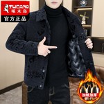 啄木鸟秋冬季新款毛呢大衣男士外套加绒夹克休闲毛呢外套男装短款