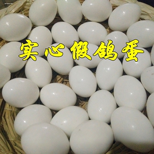 鸽具信鸽用品假实心鸽子蛋 引产蛋鸽子用品 孵卵用品包邮
