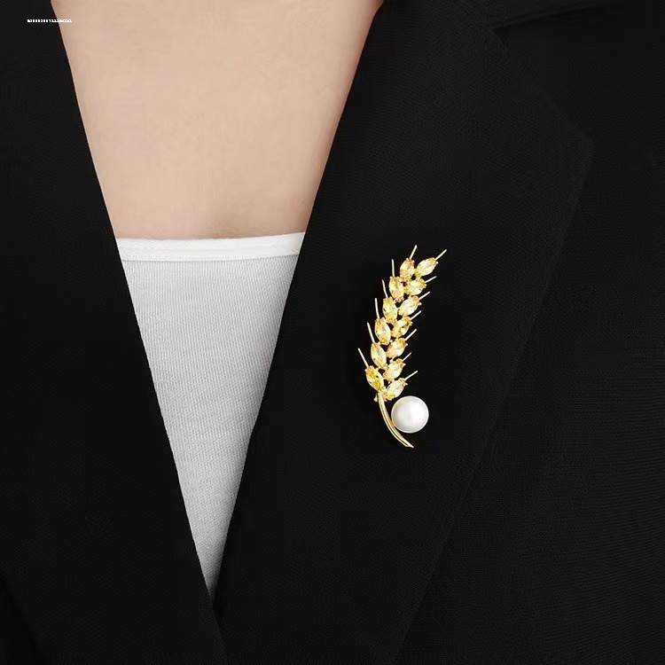 因为专注，所以专业！