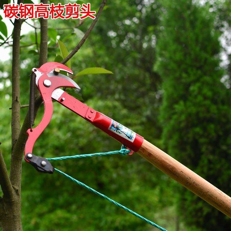 高枝剪伸缩杆,枝剪,小枝剪(第20页)_大山谷图库
