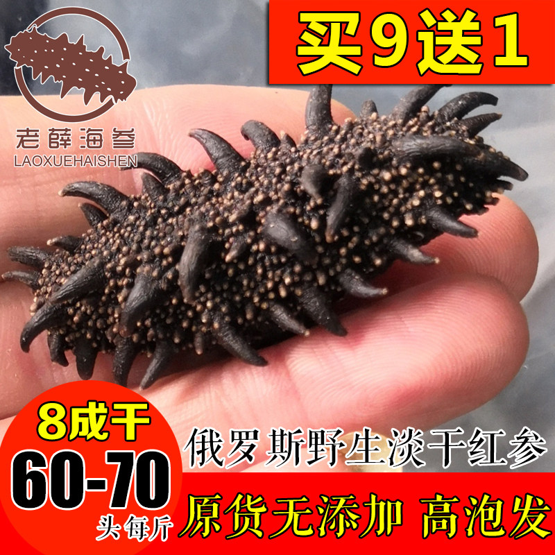 俄罗斯进口野生海参50g淡干六排刺红参8成干货拍10份500克60-70头|ruв категории традиционные питательный пища, трепанги, сухой продукт морской огурец - от Buy2taobao.com для оказания профессиональной услуги покупки агента Taobao