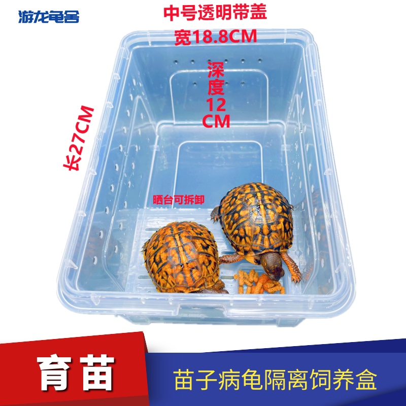 安缘东箱饲养盒佛箱三趾角蛙苗半水箱带盖乌龟草龟带晒台龟缸大号
