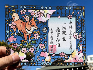 日本东京感通寺限定御朱印贴柴犬朱印帐生日礼物可配相框