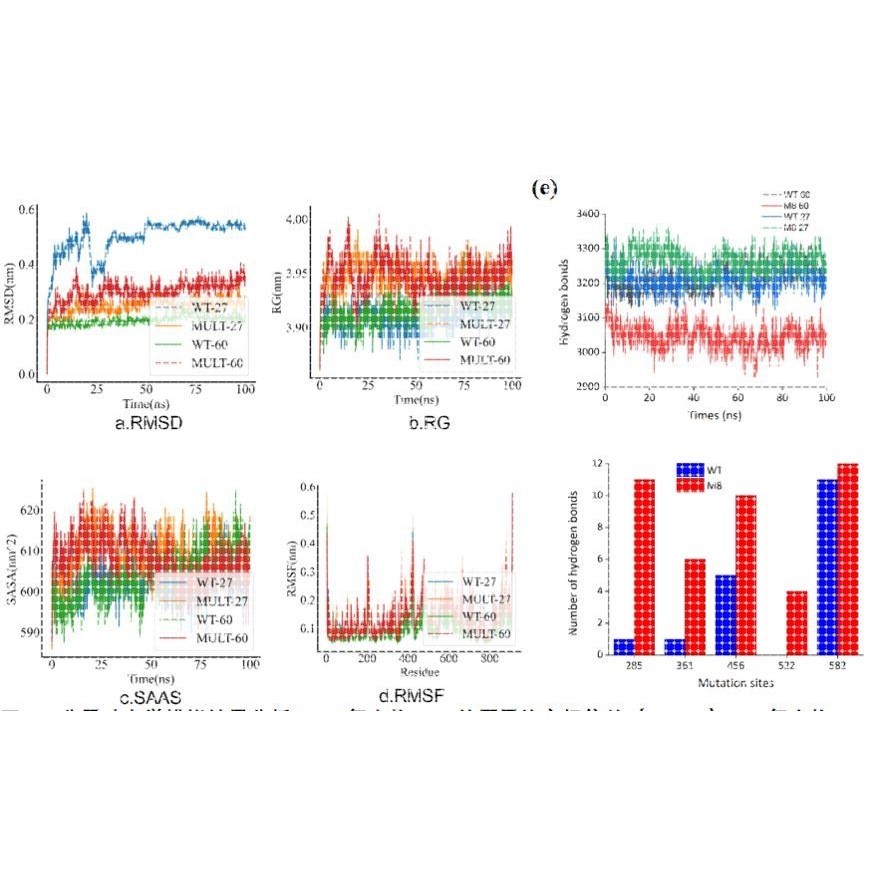代算 分子对接模拟 Gromacs lammps amber 分子动力学模拟 MD MC
