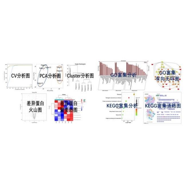 生信分析GEO,TCGA,GSEA,WGCNA,KEGG差异基因通路富集网络理PPI