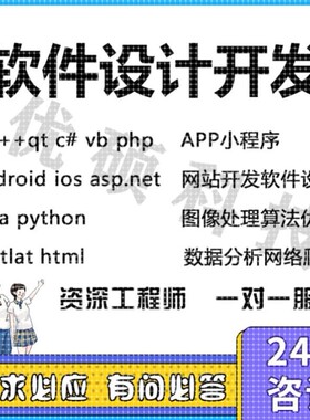 matlab代码编写java设计c++程序代编程python代写c#开发c深度学习