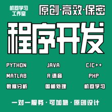 计算机python代编java程序代做c/c++代码编写c#设计开发r语言代写