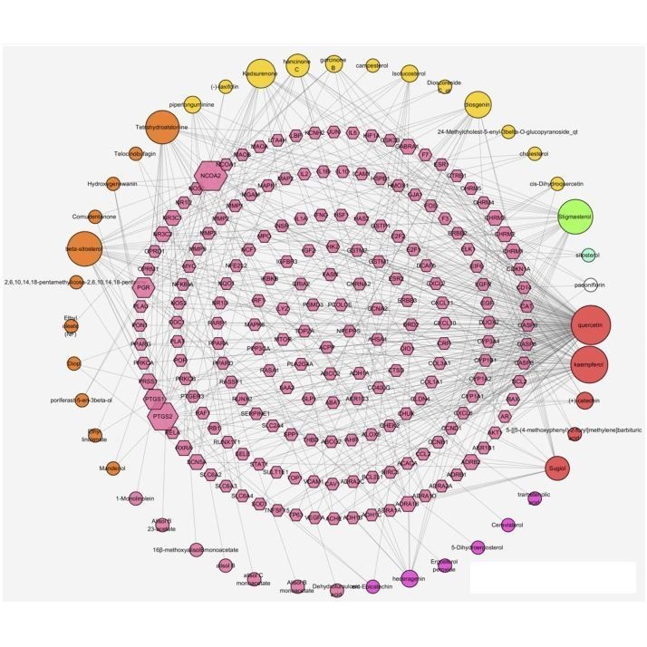 网络毒理学,网络药理学,string,cytoscape,药物靶点,kegg通路