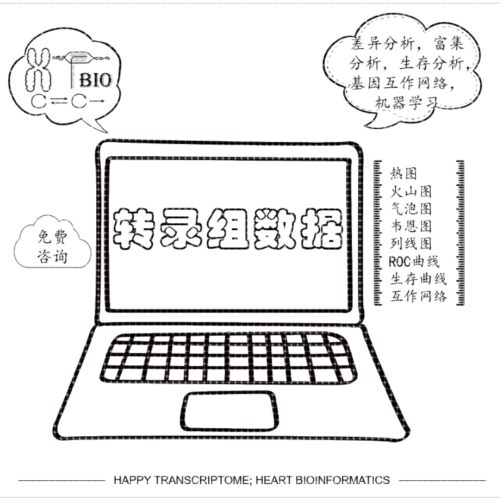转录组数据分析生物信息学服务