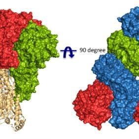 分子动力学模拟 分子对接 虚拟筛选 MD计算 代算 代做 同源建模
