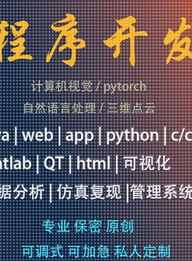 python代码编写java编程c语言c#计算机程序c++系统开发安卓qt定制