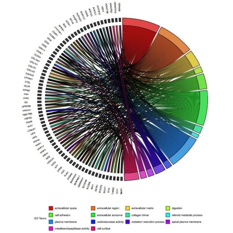 生信分析/进化树/共线性分析/circos画图/GO圈图