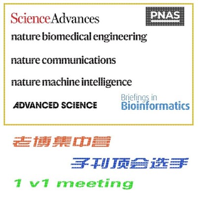 pytorch深度学习 大语言模型nlp 神经网络代做 1v1辅导咨询