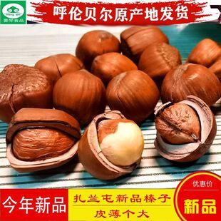 内蒙古大兴安岭产原味包山香炒榛子呼伦贝尔扎兰屯小榛子原味