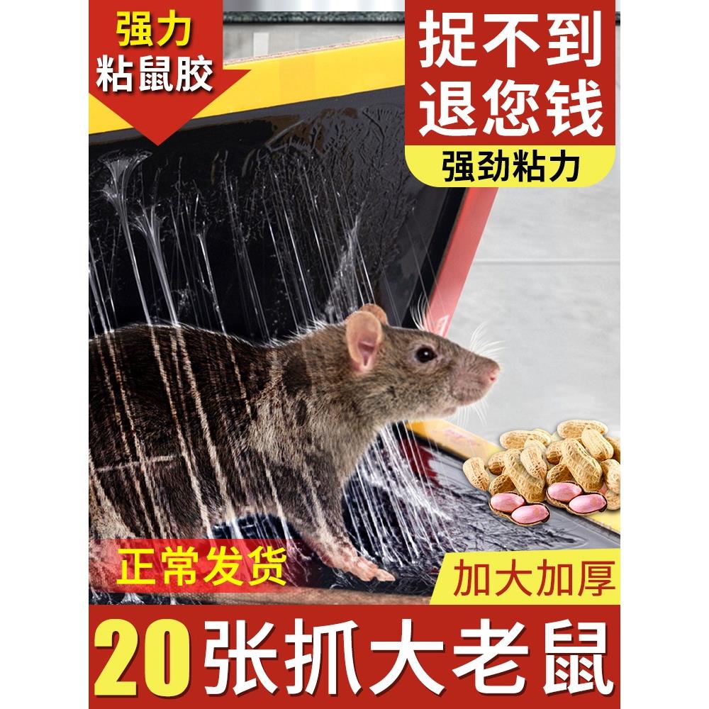 粘老鼠板强力胶大老鼠家用老鼠贴纸抓老鼠杀老鼠抓老鼠粘老鼠夹
