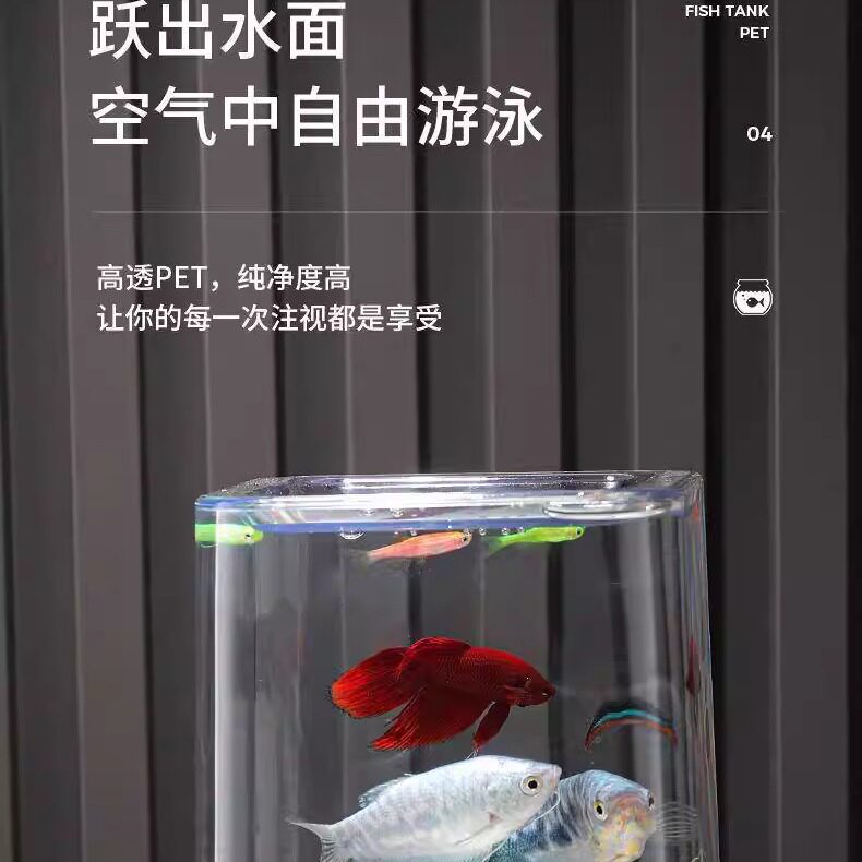 泰国斗鱼专用排缸多格组合孔雀鱼国斗鱼缸隔离超白玻璃专业用组缸图片