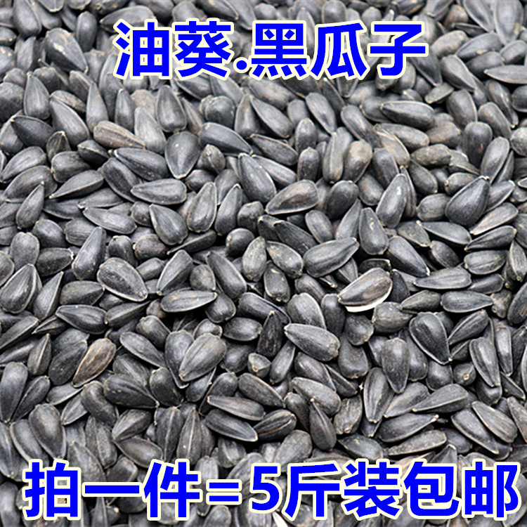 黑珍珠小瓜子葵瓜子油葵籽鹦鹉鸟食仓鼠松鼠零食鸟粮五斤装包邮