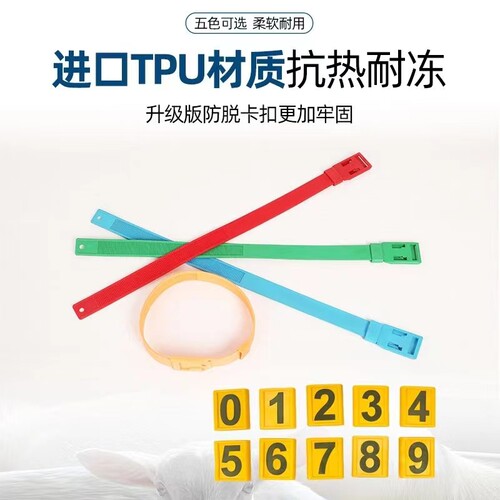 牧场牛羊识别彩色tpu颈圈脖套