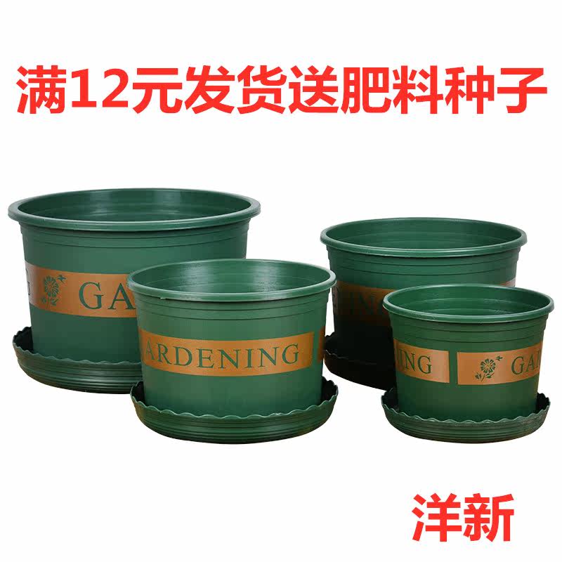 花盆矮胖加仑盆 新款塑料阳台种菜盆多肉绿萝月季植物花卉百搭盆|msdalam kategori Aksesori rumah, pasu/bunga/bunga tiruan/perhiasan imitasi, bunga/pasu, flowerpot - dari Buy2taobao.com untuk memberikan perkhidmatan ejen Taobao profesional membeli