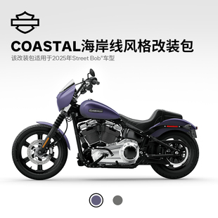 改装 哈雷戴维森 街霸摩托车海岸线风格 Bob® 包 Street