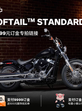 哈雷戴维森Softail Standard【新车9999元订金】