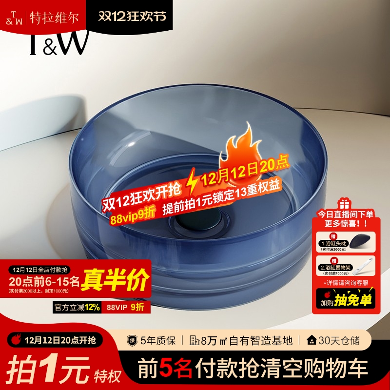 TW彩色透明树脂小尺寸台上盆