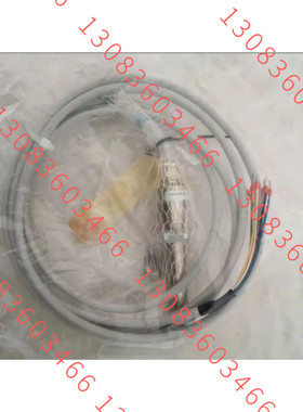 SAACKE扎克锅炉火眼 FLS09 UV-5 R.2  IP65火焰探测器