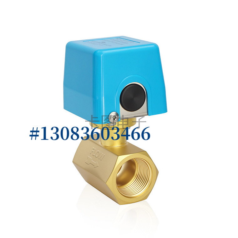 KKATU卡图FC330直通挡板式流量开关 FC330-020RKA