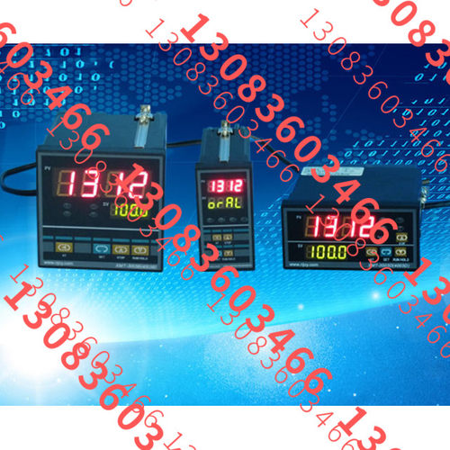 XMT-3001D/S 智能仪表
