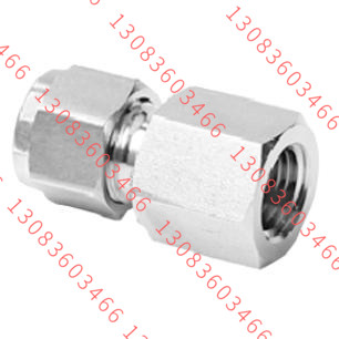 阴螺纹接头  S-FJ2FG6