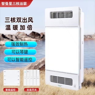 风暖浴霸集成吊顶取暖器暖风机浴生间排气照明霸五合一体浴室卫