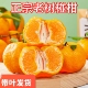 四川老品种椪柑芦柑新鲜柑橘皮薄肉脆当季 现摘优质水果脆甜多汁