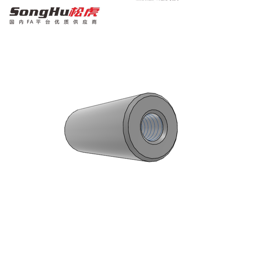 SCD11实心导向轴带扳手槽型一端内螺纹型轴身不加工无台阶镀硬铬