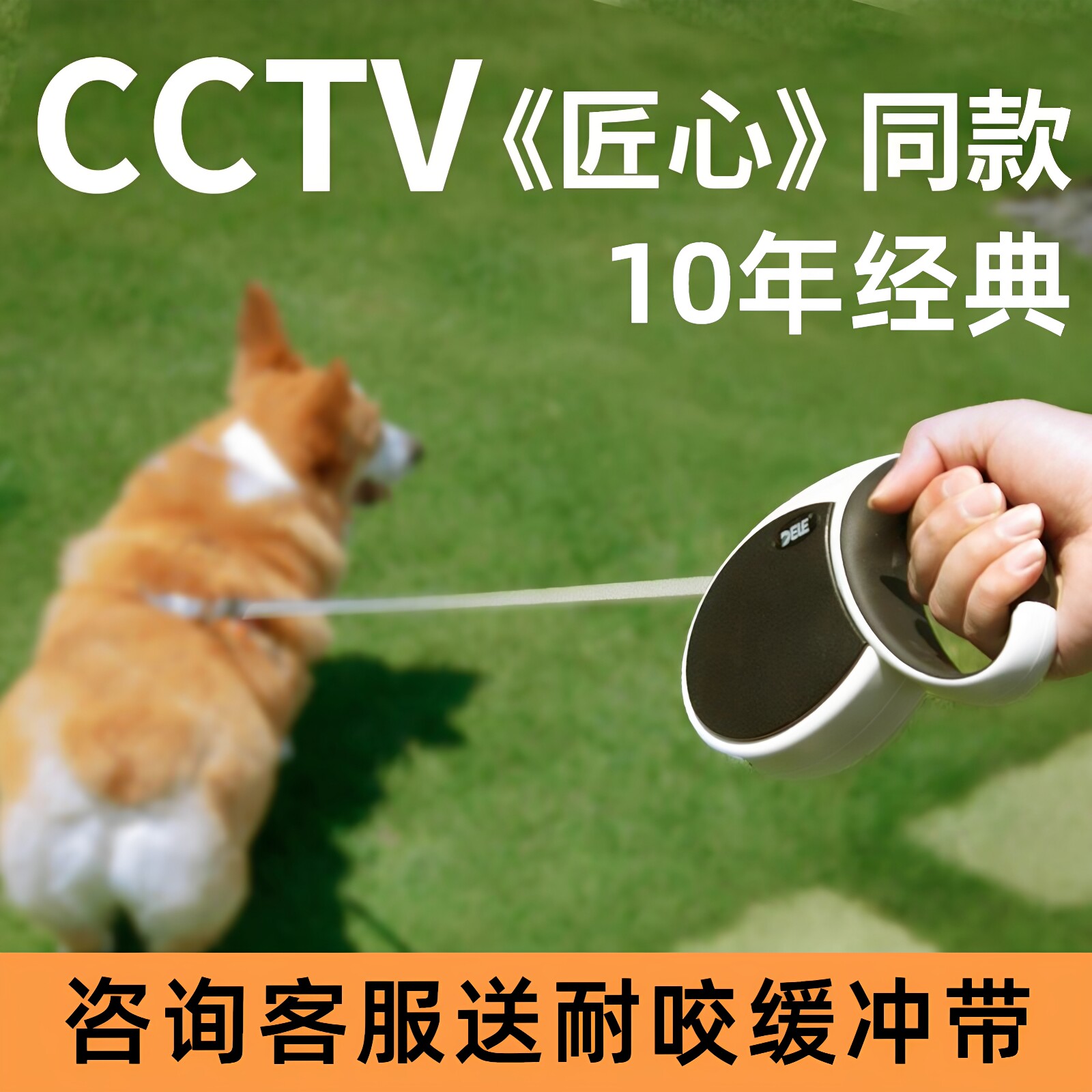 得乐狗狗牵引绳自动可伸缩泰迪柯基遛狗宠物网红中型小型犬牵狗绳