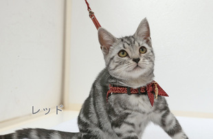 日单外贸Am*喵咪狗狗小领结牵引绳日系花纹日本风