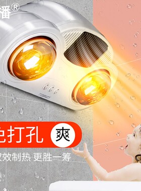 浴霸壁挂式风暖浴霸灯卫生间取暖