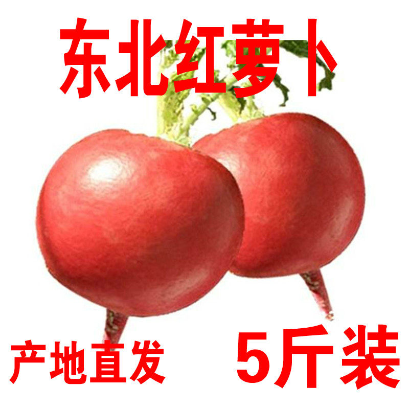 东北雌性红萝卜白心新鲜蔬菜包邮