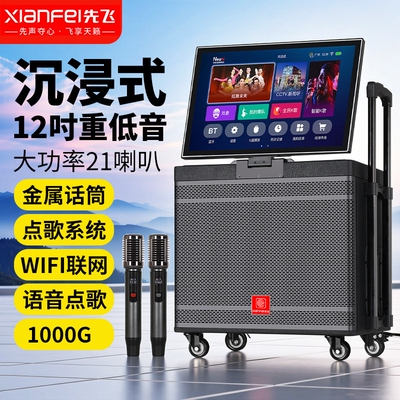 先飞K歌音响户外广场舞音箱带显