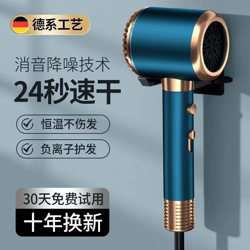 德国电吹风机家用发廊理发店专用筒大功率负离子静音护发速干风