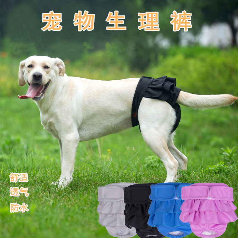 狗狗生理裤女狗母金毛泰迪柯基法斗月经姨妈小型大型犬防骚扰内裤