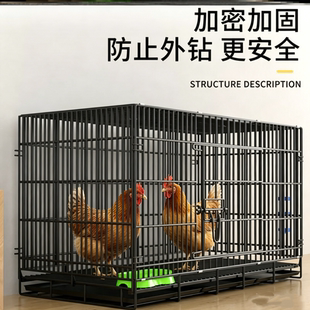 鸡笼子家用室外大号宠物鸭笼家庭养鸡笼鸡圈新款鸽子笼折叠繁殖笼